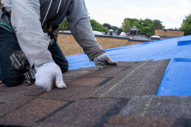 Quick and Trustworthy Emergency Roof Repair Services in Sheffield, IA